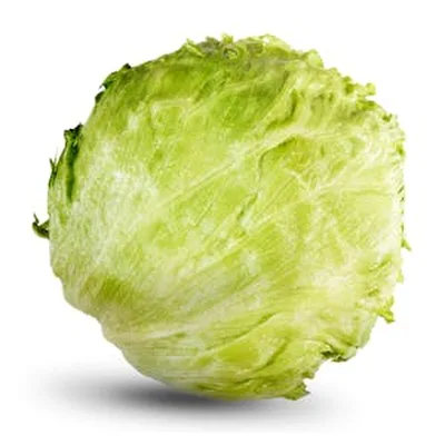 Lechuga Americana