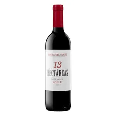 Vino Tinto Buen Día 750 ml